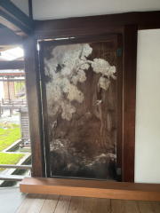 �m�a��