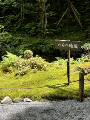 �匴�O��@