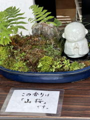 �匴�O��@