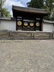 ��펛