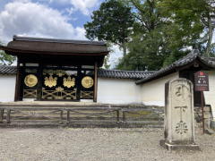 ��펛