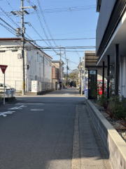 �����n��