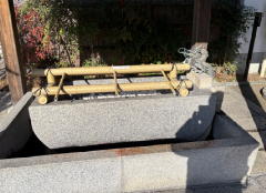 �����n��