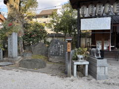 �����n��