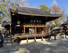 �����n��