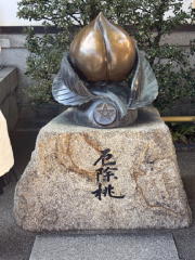 �����n��