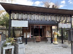 �����n��