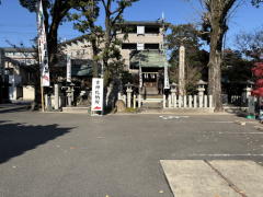 �����n��