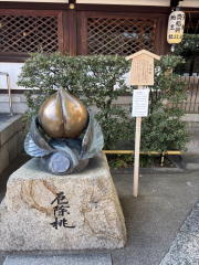 �����n��