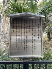 �����n��