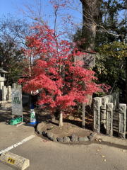 �����n��