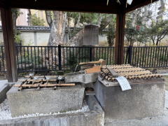 �����n��