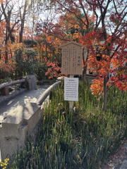 �����n��