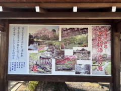 �����n��