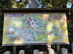 �����n��