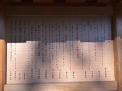 �����n��