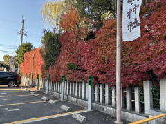 �����n��