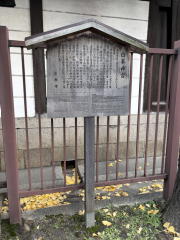 �����n��