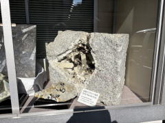 �����n��