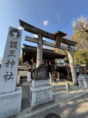 �����n��