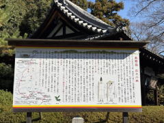 �����n��