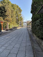 �����n��