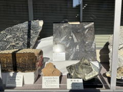 �����n��