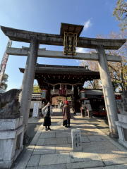 �����n��