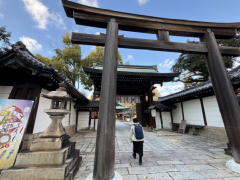 �����n��