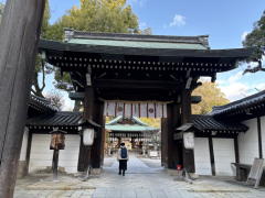 �����n��