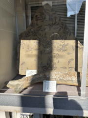 �����n��