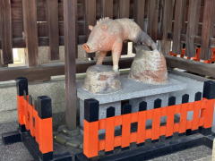 �����n��