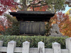 �����n��