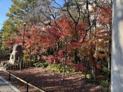 �����n��