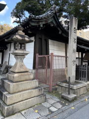 �����n��