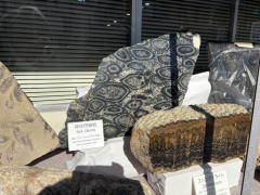 �����n��