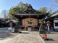 �����n��