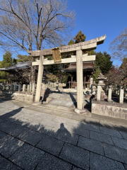 �����n��