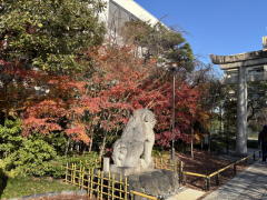 �����n��