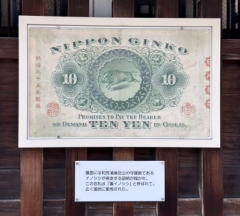 �����n��