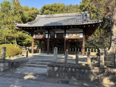 �����n��