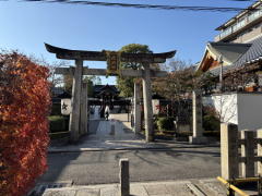 �����n��