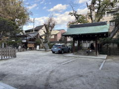 �����n��