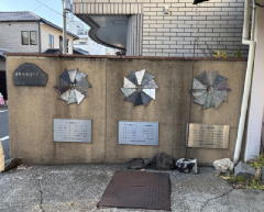 �����n��