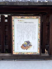 �����n��