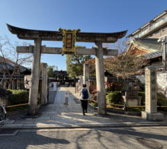 �����n��