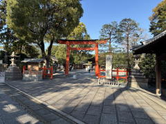 �����n��