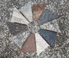 �����n��