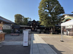 �����n��