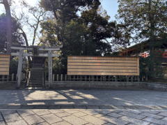 �����n��